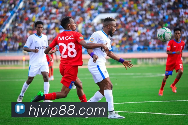 皇家百家乐官网平台生态图